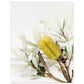 MiCoo Art & Decor Fine Art Print PURPOSE IN THE SEASON - Floral - Fine Art Print
