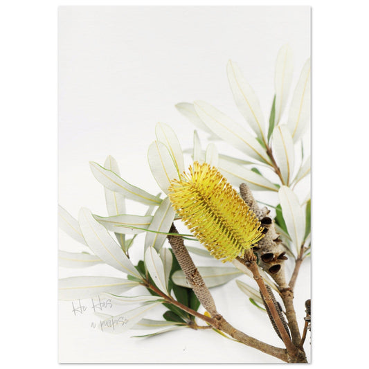 MiCoo Art & Decor Fine Art Print PURPOSE IN THE SEASON - Floral - Fine Art Print