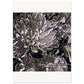 MiCoo Art & Decor Posters, Prints and Visual Artworks 50x70 cm / 20x28″ A HOPE AND A FUTURE - Floral - Fine Art  Print
