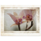 MiCoo Art & Decor Posters, Prints and Visual Artworks 27x35 cm / 11x14″ AT REST - Floral - Fine Art Print