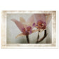 MiCoo Art & Decor Posters, Prints and Visual Artworks AT REST - Floral - Fine Art Print