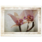 MiCoo Art & Decor Posters, Prints and Visual Artworks 75x100 cm / 30x40″ AT REST - Floral - Fine Art Print