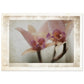 MiCoo Art & Decor Posters, Prints and Visual Artworks A3 (29.7 x 42  cm) AT REST - Floral - Fine Art Print