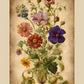 MiCoo Art & Decor Posters, Prints and Visual Artworks BEAUTY REMAINS - Vintage - Floral - Fine Art Framed Print