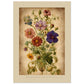 MiCoo Art & Decor Posters, Prints and Visual Artworks A3 (29.7 x 42  cm) BEAUTY REMAINS - Vintage - Floral - Fine Art Print