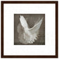 MiCoo Art & Decor Posters, Prints and Visual Artworks 30x30 cm / 12x12″ / Dark wood frame DOVE OF PEACE - Abstract - Framed Poster
