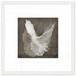 MiCoo Art & Decor Posters, Prints and Visual Artworks 30x30 cm / 12x12″ / White frame DOVE OF PEACE - Abstract - Framed Poster