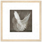 MiCoo Art & Decor Posters, Prints and Visual Artworks 30x30 cm / 12x12″ / Wood frame DOVE OF PEACE - Abstract - Framed Poster