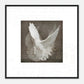 MiCoo Art & Decor Posters, Prints and Visual Artworks DOVE OF PEACE - Abstract - Framed Poster