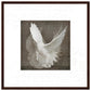 MiCoo Art & Decor Posters, Prints and Visual Artworks 50x50 cm / 20x20″ / Dark wood frame DOVE OF PEACE - Abstract - Framed Poster
