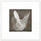 MiCoo Art & Decor Posters, Prints and Visual Artworks 50x50 cm / 20x20″ / White frame DOVE OF PEACE - Abstract - Framed Poster