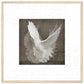 MiCoo Art & Decor Posters, Prints and Visual Artworks 50x50 cm / 20x20″ / Wood frame DOVE OF PEACE - Abstract - Framed Poster