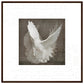 MiCoo Art & Decor Posters, Prints and Visual Artworks 70x70 cm / 28x28″ / Dark wood frame DOVE OF PEACE - Abstract - Framed Poster