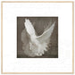 MiCoo Art & Decor Posters, Prints and Visual Artworks 70x70 cm / 28x28″ / Wood frame DOVE OF PEACE - Abstract - Framed Poster