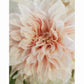 MiCoo Art & Decor Posters, Prints and Visual Artworks GRACE - Floral - Digital Download