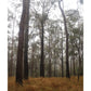 MiCoo Art & Decor Posters, Prints and Visual Artworks IN THE SILENCE - Landscape - Fine Art Framed Prints