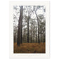 Micoo Art & Decor Posters, Prints and Visual Artworks A0 (84.1 x 118.9  cm) IN THE SILENCE - Landscape - Fine Art Print