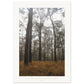 Micoo Art & Decor Posters, Prints and Visual Artworks A1 (59.4 x 84.1  cm) IN THE SILENCE - Landscape - Fine Art Print