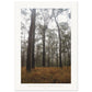 Micoo Art & Decor Posters, Prints and Visual Artworks A2 (42 x 59.4  cm) IN THE SILENCE - Landscape - Fine Art Print