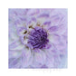 MiCoo Art & Decor Posters, Prints and Visual Artworks KEEPING CLOSE - Floral - Digital Download