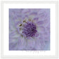 MiCoo Art & Decor Posters, Prints and Visual Artworks 30x30 cm / 12x12″ / White frame KEEPING CLOSE -  Floral - Framed Poster