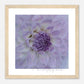 MiCoo Art & Decor Posters, Prints and Visual Artworks KEEPING CLOSE -  Floral - Framed Poster