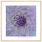 MiCoo Art & Decor Posters, Prints and Visual Artworks 50x50 cm / 20x20″ / Wood frame KEEPING CLOSE -  Floral - Framed Poster
