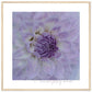 MiCoo Art & Decor Posters, Prints and Visual Artworks 70x70 cm / 28x28″ / Wood frame KEEPING CLOSE -  Floral - Framed Poster