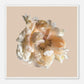 MiCoo Art & Decor Posters, Prints and Visual Artworks LIVING IN THE LIGHT - Floral - Framed Poster