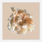 Micoo Art & Decor Posters, Prints and Visual Artworks LIVING IN THE LIGHT - Floral - Poster