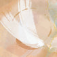 MiCoo Art & Decor- Posters, Prints and Visual Artworks ON THE WINGS -  Abstract - Canvas