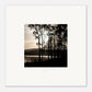 MiCoo Art & Decor Posters, Prints and Visual Artworks REFLECTING LIGHT  - Landscape - Monochrome - Fine Art Print