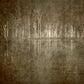 MiCoo Art & Decor Posters, Prints and Visual Artworks SOLITUDE - Abstract Landscape - Framed Canvas