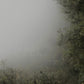 MiCoo Art & Decor Posters, Prints and Visual Artworks THE KNOWN PATH - Abstract - Landscape - Digital Download