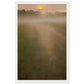Micoo Art and Decor Posters, Prints and Visual Artworks 28x43  cm / XL (11x17″) / White frame THE PATH OF LIFE  - Abstract Landscape - Framed Poster