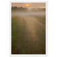 Micoo Art and Decor Posters, Prints and Visual Artworks 30x45 cm / 12x18″ / White frame THE PATH OF LIFE  - Abstract Landscape - Framed Poster