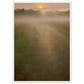 Micoo Art and Decor Posters, Prints and Visual Artworks 50x70 cm / 20x28″ / White frame THE PATH OF LIFE  - Abstract Landscape - Framed Poster