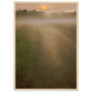 Micoo Art and Decor Posters, Prints and Visual Artworks 50x70 cm / 20x28″ / Wood frame THE PATH OF LIFE  - Abstract Landscape - Framed Poster
