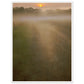 Micoo Art and Decor Posters, Prints and Visual Artworks 60x80 cm / 24x32″ / White frame THE PATH OF LIFE  - Abstract Landscape - Framed Poster