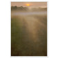 Micoo Art and Decor Posters, Prints and Visual Artworks 60x90 cm / 24x36″ / White frame THE PATH OF LIFE  - Abstract Landscape - Framed Poster
