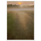 Micoo Art and Decor Posters, Prints and Visual Artworks 70x100 cm / 28x40″ / White frame THE PATH OF LIFE  - Abstract Landscape - Framed Poster