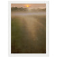 Micoo Art and Decor Posters, Prints and Visual Artworks A4 21x29.7 cm / 8x12″ / White frame THE PATH OF LIFE  - Abstract Landscape - Framed Poster