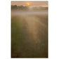 Micoo Art and Decor Posters, Prints and Visual Artworks 28x43  cm / XL (11x17″) THE PATH OF LIFE - Abstract Landscape - Poster