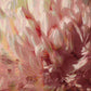 MiCoo Art & Decor Posters, Prints and Visual Artworks TIME TO BLOOM - Floral - Canvas