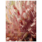 Micoo Art & Decor Posters, Prints and Visual Artworks 30x40 cm / 12x16″ TIME TO BLOOM - Floral - Poster