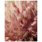 Micoo Art & Decor Posters, Prints and Visual Artworks 40x50 cm / 16x20″ TIME TO BLOOM - Floral - Poster