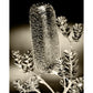 MiCoo Art & Decor Posters, Prints and Visual Artworks WONDER - Floral - Monochrome - Fine Art Framed Print