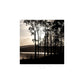 MiCoo Art & Decor Posters, Prints and Visual Artworks WRAPPED IN LIGHT Collection - Landscape - Monochrome - Fine Art Framed Prints