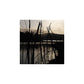 MiCoo Art & Decor Posters, Prints and Visual Artworks WRAPPED IN LIGHT Collection - Landscape - Monochrome - Fine Art Framed Prints